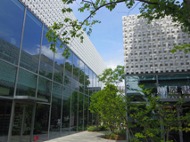 ӉXDAIKANYAMA T-SITE